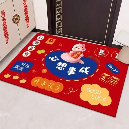 【新年到！换新地垫】水晶绒入户门地垫进门玄关TPR底可裁剪脚垫门口耐脏防滑地垫 商品图11