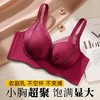 蜜桃胭脂 文胸(VIP)  小胸超聚拢显大性感不空杯防下垂收副乳无痕无钢圈内衣女文胸 商品缩略图0