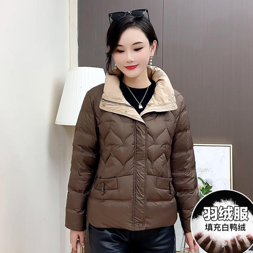 QYMCR-SDD520-L纯色简约立领修身时尚羽绒服2024年冬款短款小个子防寒白鸭绒外套 商品图1