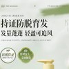 儒意珠翠丰盈 生姜防脱固发洗发水 控油蓬松头生增密男女士洗发  500g/瓶 商品缩略图3
