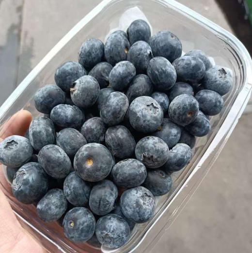 云南蓝莓，18+，脆甜，个别带点酸，250克/盒 商品图1