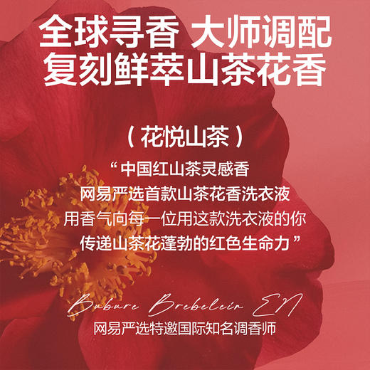 网易严选 山茶植萃香氛洗衣液 商品图4