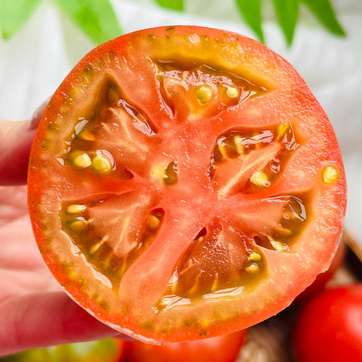 2.24下架【顺丰包邮】攀枝花草莓番茄 西红柿  3斤/5斤 商品图2