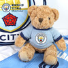 【官方正版】曼城俱乐部 | 毛绒大熊队徽毛衣玩偶足球迷公仔 商品缩略图1