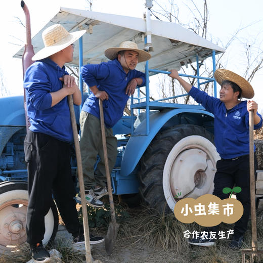 沃野青青有机西芹 4斤装 | 合作农友生产，来自陕西咸阳，生产者：郑力行 *【公平贸易农人定价】 商品图8