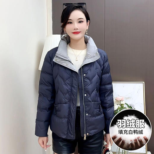 QYMCR-SDD520-L纯色简约立领修身时尚羽绒服2024年冬款短款小个子防寒白鸭绒外套 商品图0