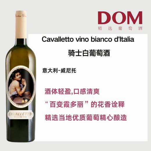 骑士白葡萄酒 商品图0