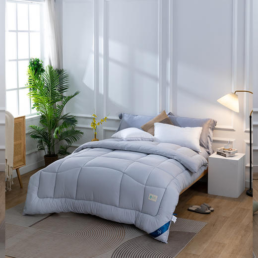 【远梦】雅沁舒柔立体冬被 商品图2