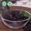 [屁侠推荐] 有机紫晶枣 陕西特产乌枣 520g/罐 商品缩略图1