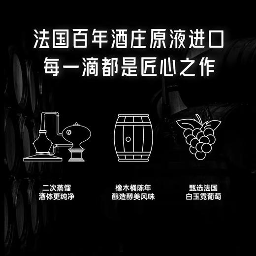 白焱/风味白兰地 商品图4