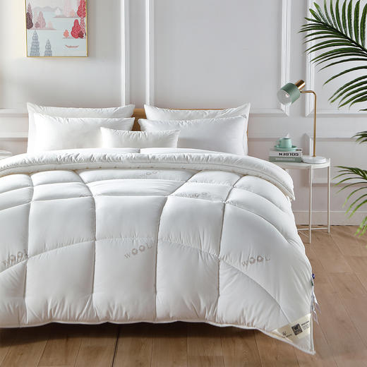 【远梦】澳洲羊毛双层芯被 商品图3