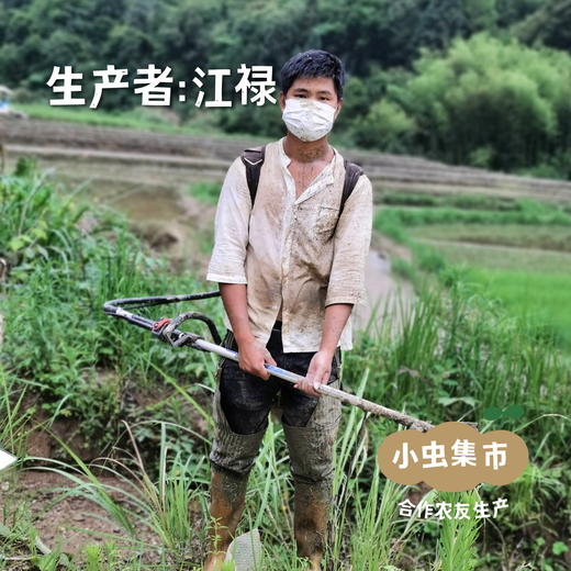 福建有机紫皮甘蔗 4.5斤/8斤 | 合作农友生产，产自福建南平，生产者：江禄 *【公平贸易农人定价】 商品图3