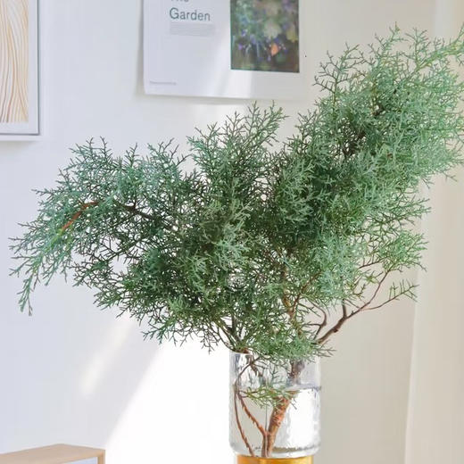 配花-雪花松-圣诞花材 商品图0