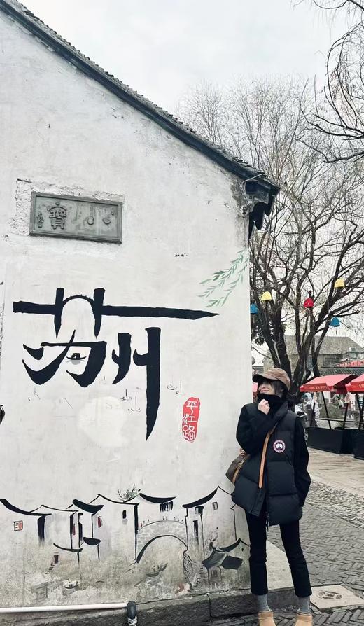 得物渠道大商订单 大鹅同款羽绒马甲 男女同款 商品图6