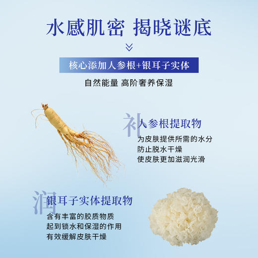 【29年国货老牌】丁家宜水感肌密4件套 洁面乳+柔肤水+精华乳+保湿霜 人参精粹 层层补水 告别“沙漠肌” 商品图1