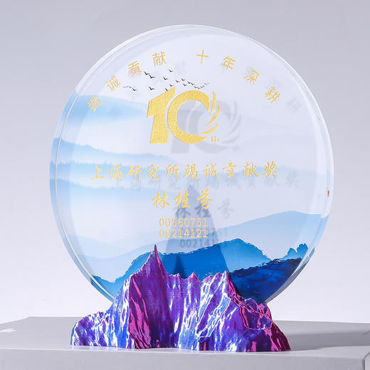 金山银山青山勇攀高峰3D打印奖杯奖牌年会礼品奖章员工奖励 商品图8
