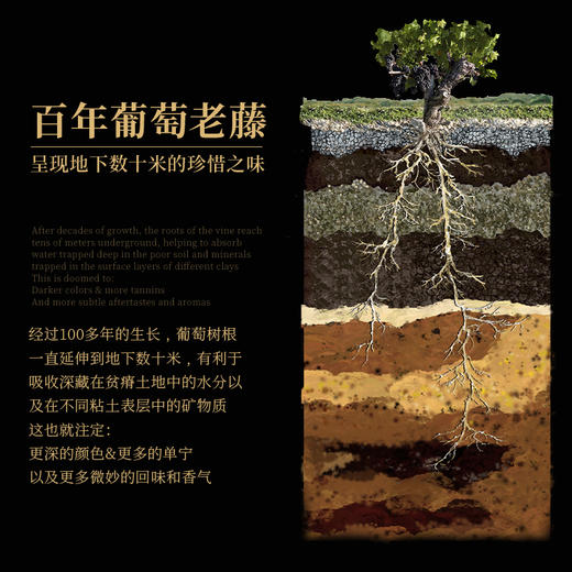 【五星级酒店指定用酒】智利名庄金鹰酒庄系列葡萄酒 智利原瓶进口 商品图10