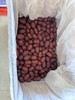 「天山雪枣」第十一季新疆树上风干枣  探疆人 txa 商品缩略图4