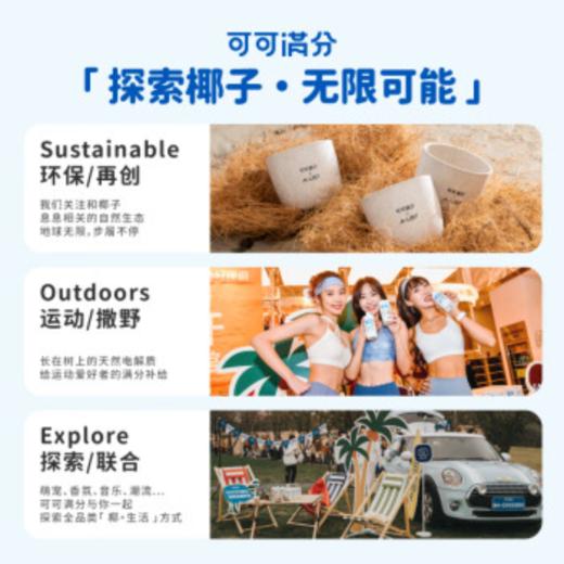  DH 可可满分 椰子水245ml*10瓶  商品图4