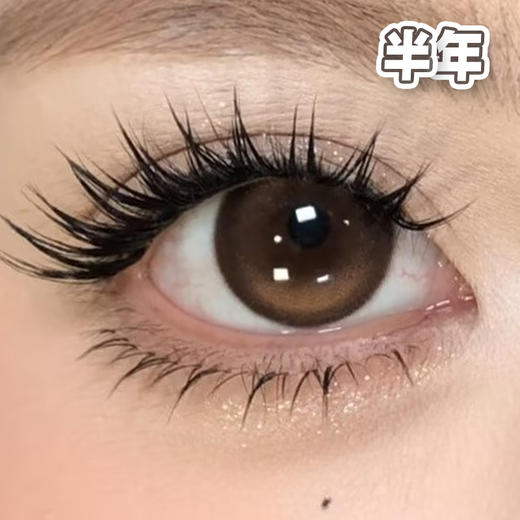 #顽皮榛果 棕色14.2mm【1片装】舒适推荐 / 半年抛 商品图0