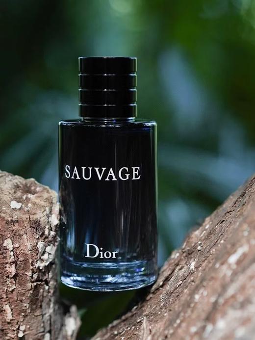 法国原香料男女同用内涵旷野 商品图2