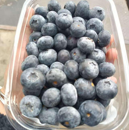 云南蓝莓，18+，脆甜，个别带点酸，250克/盒 商品图2