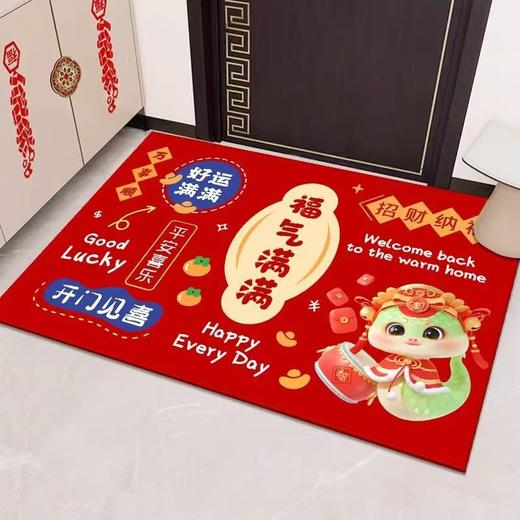【新年到！换新地垫】水晶绒入户门地垫进门玄关TPR底可裁剪脚垫门口耐脏防滑地垫 商品图7
