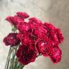 康乃馨.红绸（永恒） 商品缩略图0