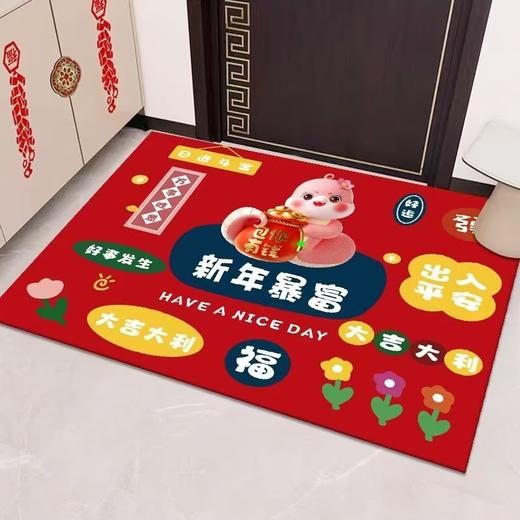 【新年到！换新地垫】水晶绒入户门地垫进门玄关TPR底可裁剪脚垫门口耐脏防滑地垫 商品图1
