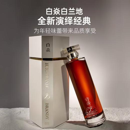 白焱/经典白兰地 商品图3