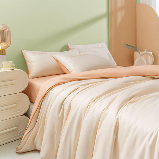 蒙卡罗尼  60S轻奢天丝长绒棉四件套-奶咖200*230cm 商品图2