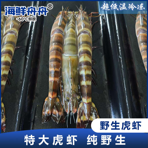 【野生】超低温 特大虎虾 商品图0