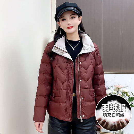 QYMCR-SDD520-L纯色简约立领修身时尚羽绒服2024年冬款短款小个子防寒白鸭绒外套 商品图2