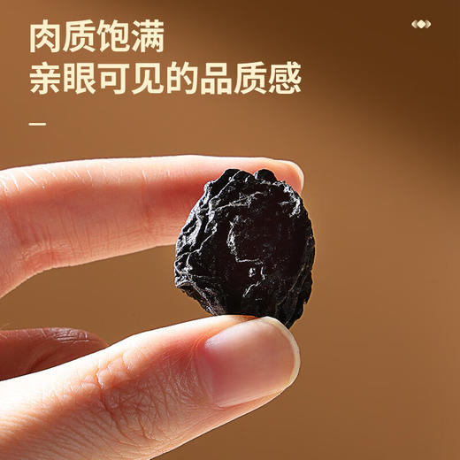 北京同仁堂  青源堂乌梅-乌梅280克Q2100106 商品图4