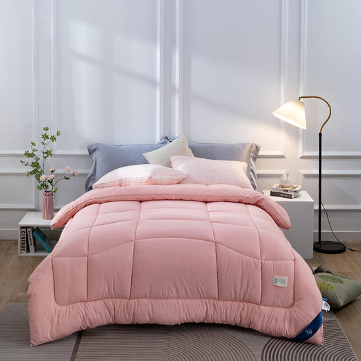 【远梦】雅沁舒柔立体冬被 商品图1