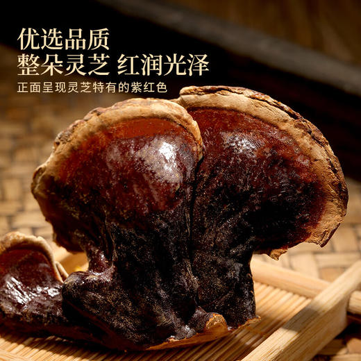 福东海 海参鲍鱼灵芝羊肚菌四拼礼盒220克 辽参淡干海参山珍菌菇滋补品 年货送礼 商品图3