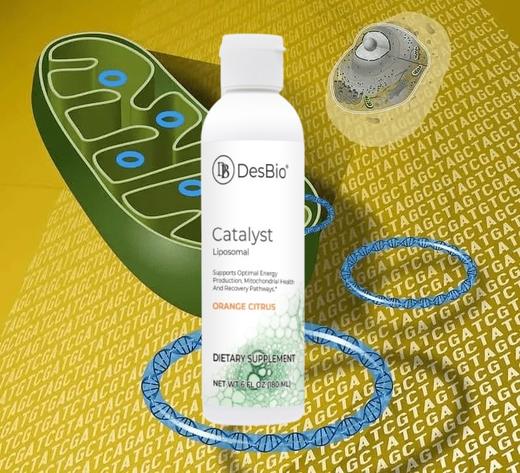 【脂质体线粒体全效支持溶剂】儿童/成人适合 Liposomal Catalyst NAD+泛醇辅酶+左旋肉碱+磷脂酰丝氨酸+PQQ  180ml 商品图0