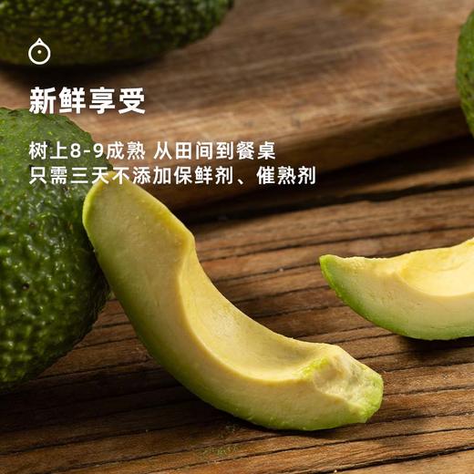 企鹅市集|云南孟连哈斯牛油果大果4枚/8枚装 国产新鲜 绵密丝滑 商品图3