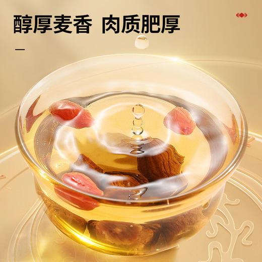 北京同仁堂  青源堂蒲公英根-300克/瓶Q1000038 商品图2