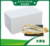 大黄鱼【HXDY】 商品缩略图1