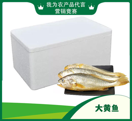 大黄鱼【HXDY】 商品图1
