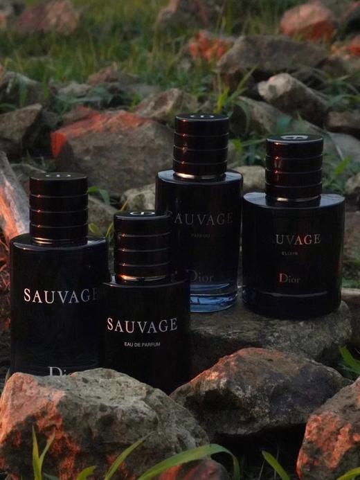 法国原香料男女同用内涵旷野 商品图12