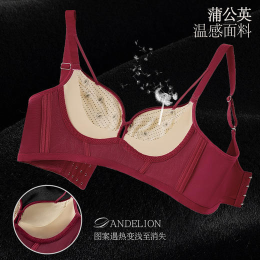 【绝代魅惑，秋冬新款丝绒内衣】珠光镂空性感内衣优雅细带美胸，蒲公英温感面料，不空杯不外扩更有型，内衣文胸本命年新年2025蛇年年货QQ 商品图1