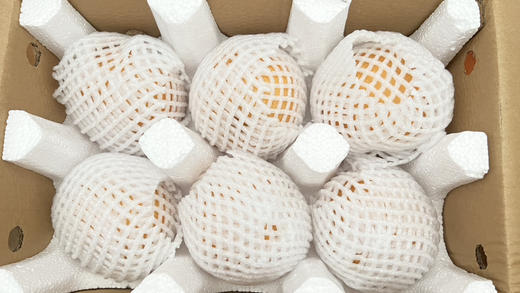 莱阳秋月梨家庭装 商品图13