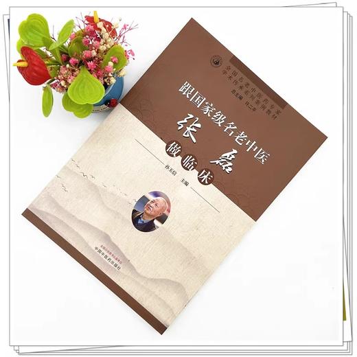 跟国家级名老中医张磊做临床 孙玉信主编 国名老中医药专家学术传承系列案例教材 9787513289696 中国中医药出版社 商品图2