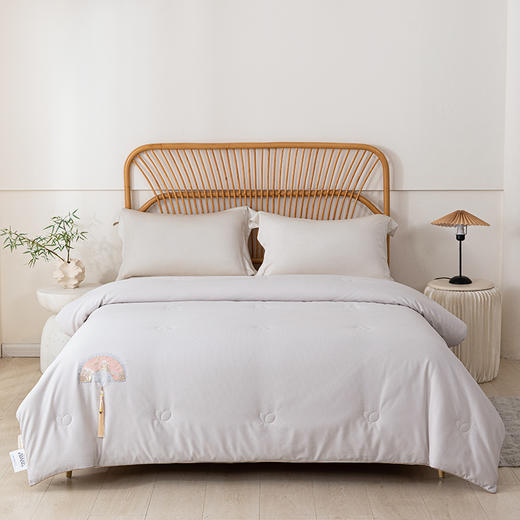 金丝莉 臻选蚕丝被JB-1362 200×230cm 商品图1