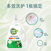 【植物萃取多效洗衣液】正品天然酵素爸爸去哪儿洗衣液，0荧光剂，温合去渍洁净，深层洁净洗衣液家用洗衣液4斤量QQ 商品缩略图1