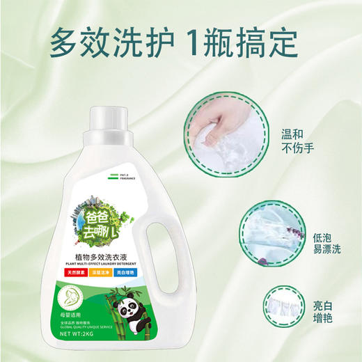 【植物萃取多效洗衣液】正品天然酵素爸爸去哪儿洗衣液，0荧光剂，温合去渍洁净，深层洁净洗衣液家用洗衣液4斤量QQ 商品图1