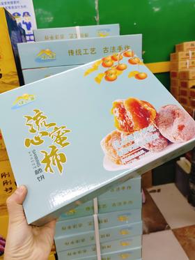 绿之源柿饼一箱