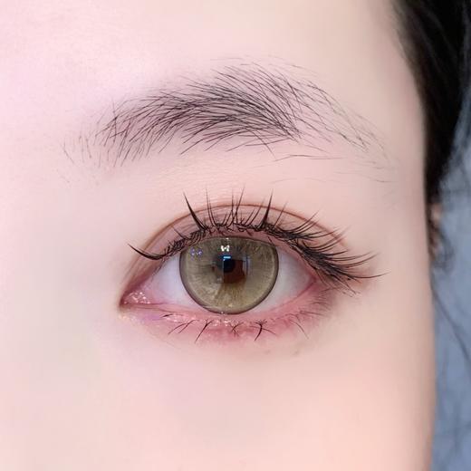 Miragecolor日抛--Y4Brown半熟南瓜（10p/盒） 商品图8